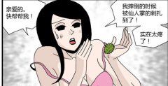 当被仙人掌扎过时